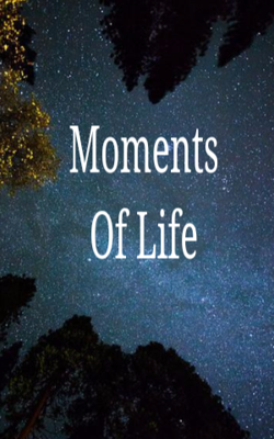 Moments Of Life