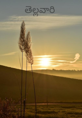 తెల్లవారి