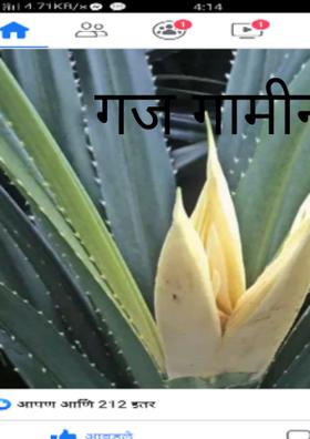 गज गामीनी