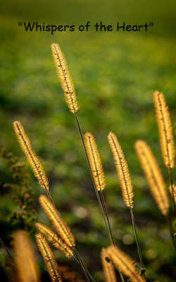 "Whispers of the Heart"