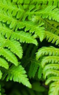 Understand Who You Are