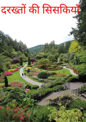 दरख्तों की सिस्कियाँ