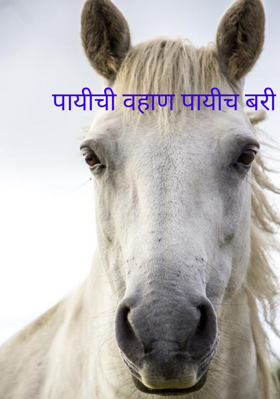 पायीची वहाण पायीच बरी