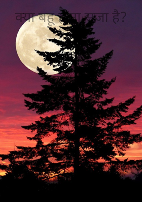 क्या बहू होना सजा है?