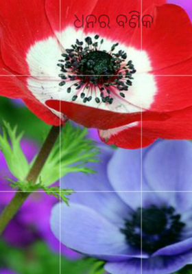 ଧନର ବଣିକ