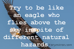 Try to be like an eagle who flies above the sky inspite of different natural hazards 