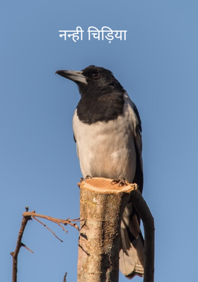 नन्ही चिड़िया