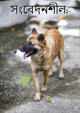 সংবেদনশীল:-