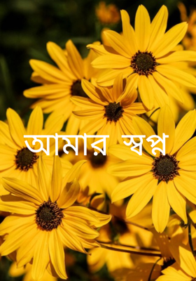 আমার স্বপ্ন