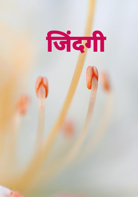 जिंदगी 