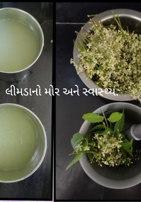 લીમડાનો મોર અને સ્વાસ્થ્ય.