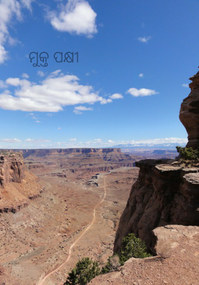 ମୁକ୍ତ ପକ୍ଷୀ