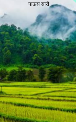 पाऊस सारी