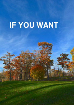 If You Want