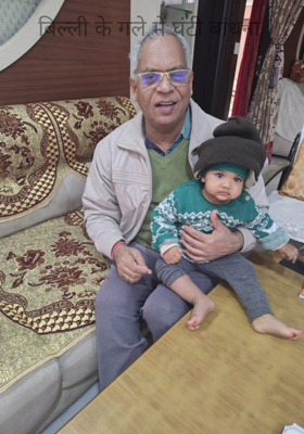 बिल्ली के गले में घंटी बांधना 