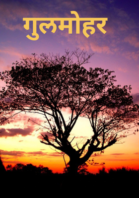 गुलमोहर