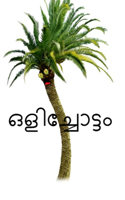 ഒളിച്ചോട്ടം