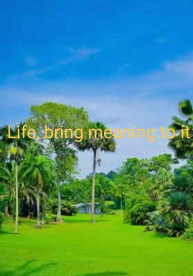 Life, bring meaning to it