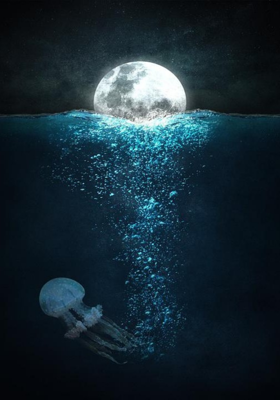 Under the Lavender Moon