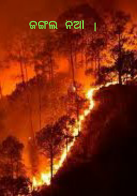 ଜଙ୍ଗଲ ନିଆଁ