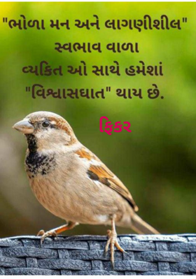 ફિકર