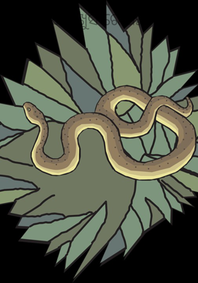 ସାପ ଖୁସି ରେ ଅଛି 