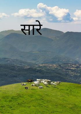 सारे