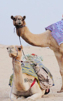 திருக்குறள்