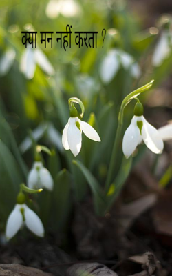 क्या मन नहीं करता ?