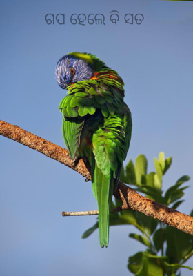 ଗପ ହେଲେ ବି ସତ 