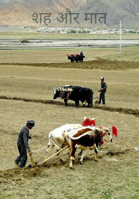 शह और मात