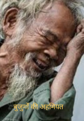 बुजुर्गों की अहमियत 