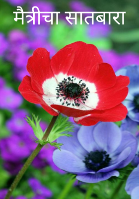 मैत्रीचा सातबारा