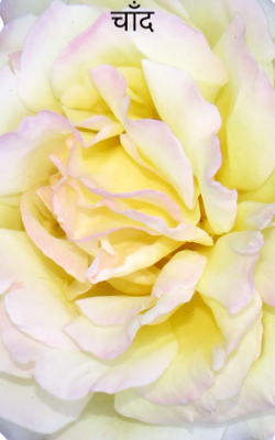 चाँद