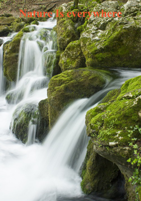 Nature Is everywhere