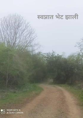 स्वप्नात भेट झाली