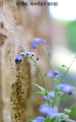 शीर्षक-मनमोहन कान्हा