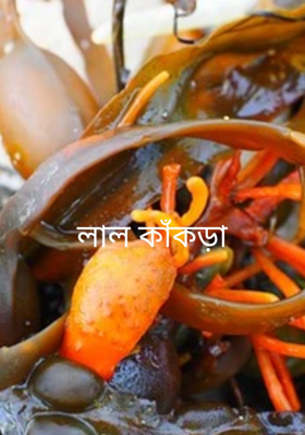 লাল কাঁকড়া