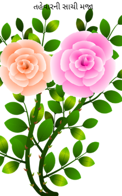 તહેવારની સાચી મજા