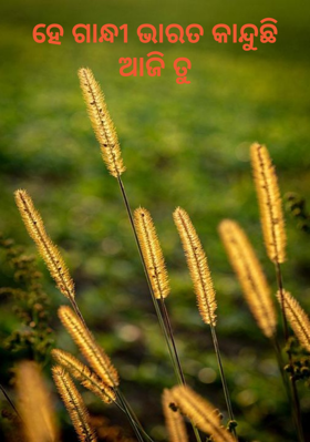 ହେ ଗାନ୍ଧୀ ଭାରତ କାନ୍ଦୁଛିଆଜି ତୁ