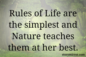 Rules of Life...