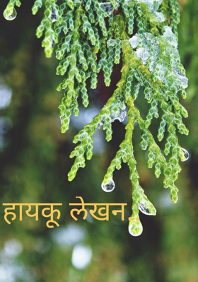 हायकू लेखन..