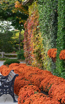 मेरा प्यारा परिवार