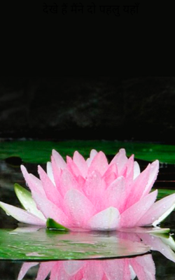 देखे हैं मैंने दो पहलु यहाँ