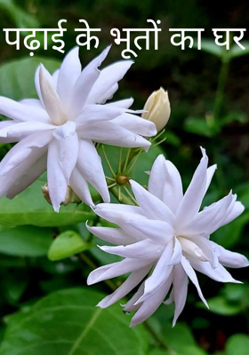 पढ़ाई के भूतों का घर