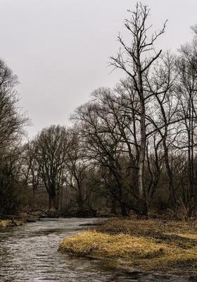 रक्षाबंधन