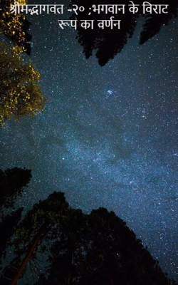 श्रीमद्भागवत -२० भगवान के विराट रूप का वर्णन