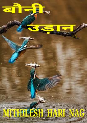 बौनी उड़ान