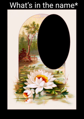 What’s in the name*