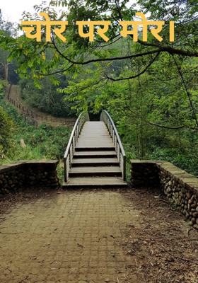 चोर पर मोर।